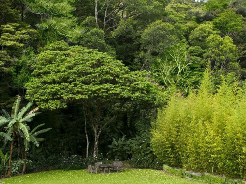 Hotel The Haven | Boquete | Chiriquí | Panamá 11