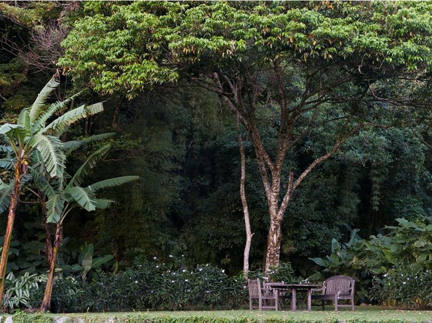 Hotel The Haven | Boquete | Chiriquí | Panamá 13