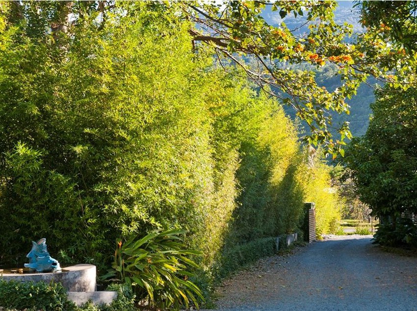 Hotel The Haven | Boquete | Chiriquí | Panamá 2