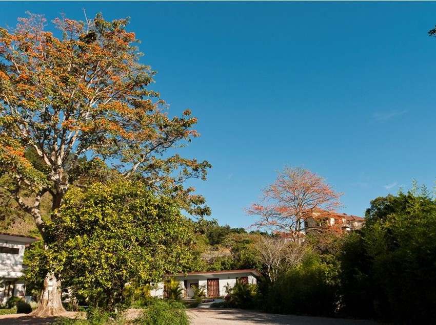 Hotel The Haven | Boquete | Chiriquí | Panamá 4