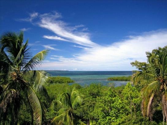 Hotel Olas | Bocas del Toro | Bocas del Toro | Panamá 7