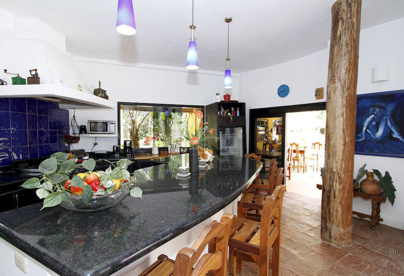 Pensión StevieWonderLand | El Yaque | Venezuela | América del Sur 12