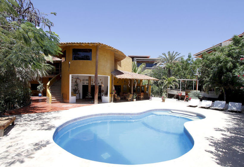 Pensión StevieWonderLand | El Yaque | Venezuela | América del Sur 18