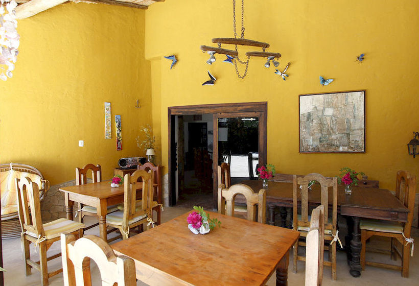 Pensión StevieWonderLand | El Yaque | Venezuela | América del Sur 19