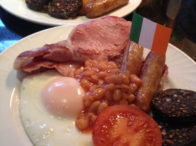 Pension Moat Lodge | Lucan | County South Dublin | Ireland 14