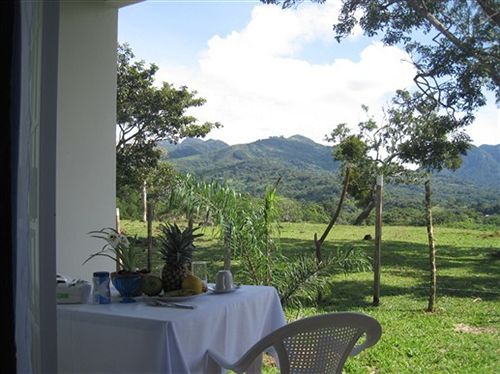 Hotel Coffee Mountain Inn & Tours | Santa Fe | Veraguas | Panamá 6