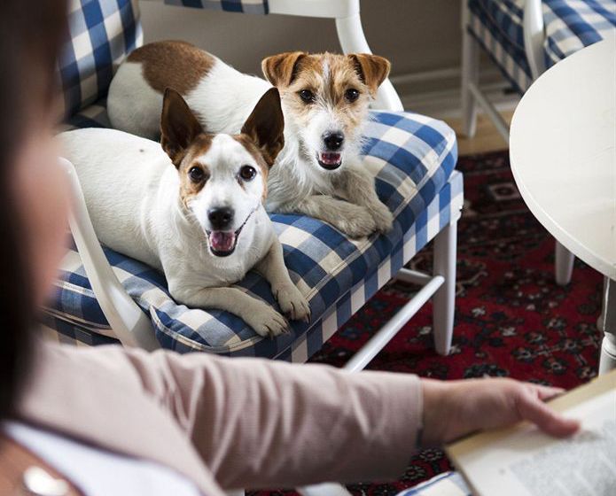 Hotel Länsmansgarden | Sunne | Varmlands Lan | Sweden 4