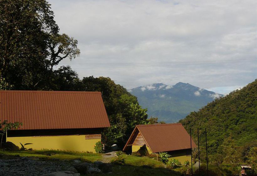 Bed and Breakfast Boquete Tree Trek Mountain Resort | Boquete | Chiriquí | Panamá 3