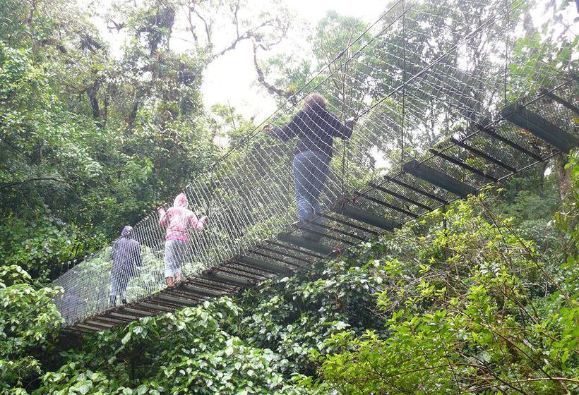 Bed and Breakfast Boquete Tree Trek Mountain Resort | Boquete | Chiriquí | Panamá 5