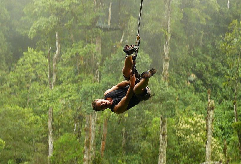 Bed and Breakfast Boquete Tree Trek Mountain Resort | Boquete | Chiriquí | Panamá 6