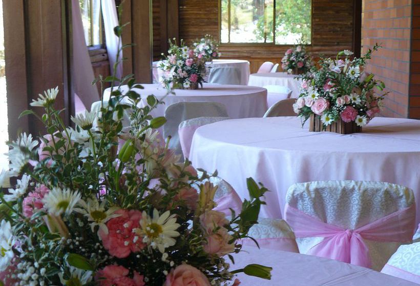 Bed and Breakfast Boquete Tree Trek Mountain Resort | Boquete | Chiriquí | Panamá 7