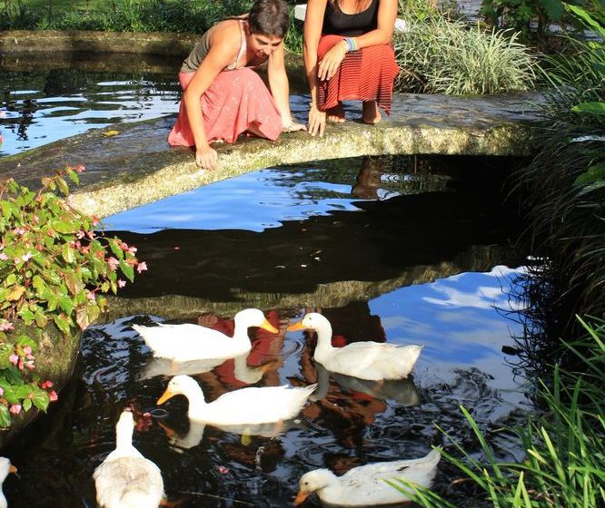 Hotel Rincón Vallero | El Valle de Anton | Coclé | Panamá 13