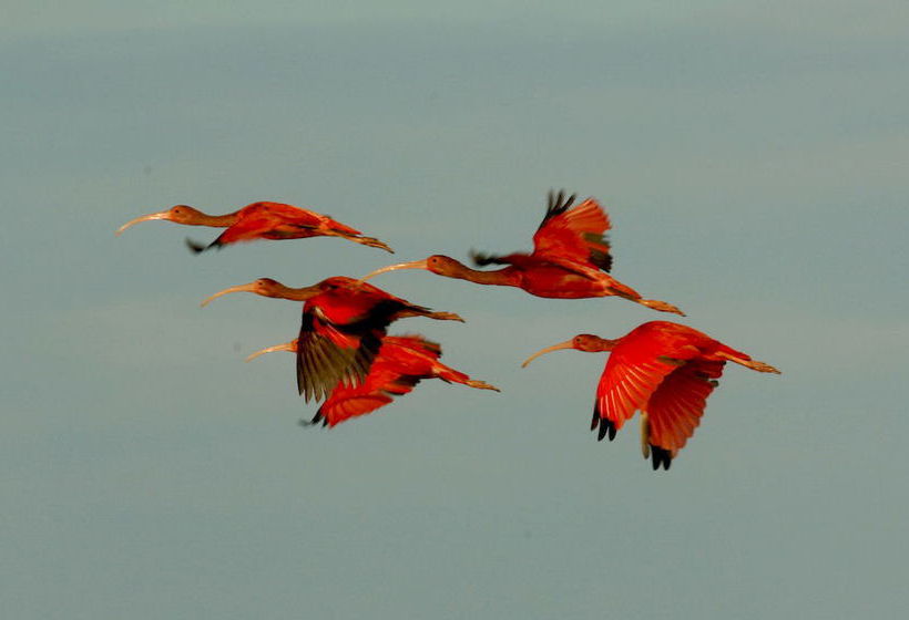 Hotel Pousada Jagata  | Tutóia | Maranhão | Brasil 5