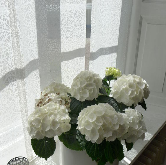 Slitebaden Hotell & Konferens Ab | Slite | Gotlands Lan | Sweden 18