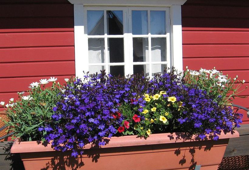 Pension Lappeasuando Lodge | Gallivare | Norrbottens Lan | Sweden 10