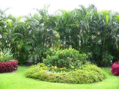 La Alameda | Caracas | Venezuela | América del Sur 15