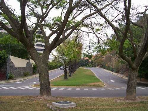 La Alameda | Caracas | Venezuela | América del Sur 16