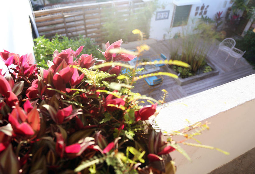 Pensión Dreamcatcher Guest House | San Juan | Puerto Rico | Centroamérica - Caribe 19