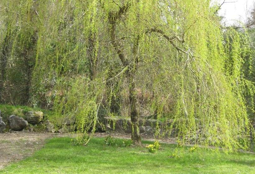 Bed and Breakfast Ardmore House | Kenmare | Kerry | Ireland 11