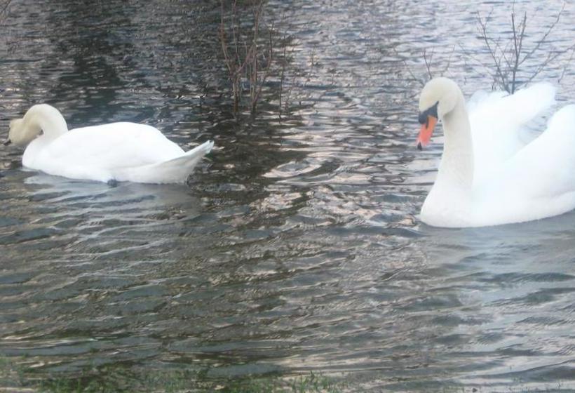 Bed and Breakfast Ardmore House | Kenmare | Kerry | Ireland 12