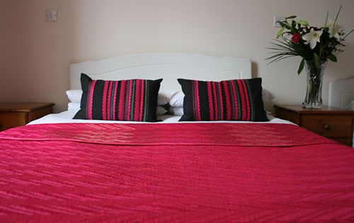 Pension Zuni Townhouse | Kilkenny | Kilkenny | Ireland 6