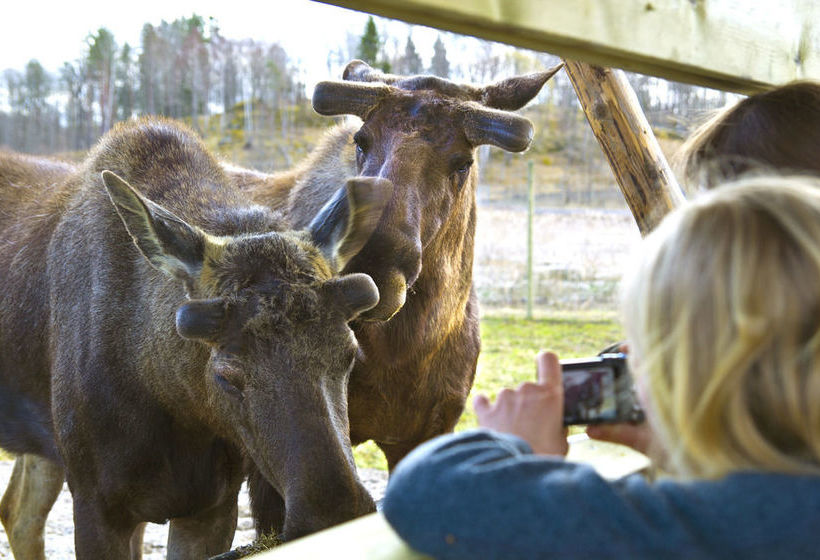 Hostel Öster Malma Slot | Nykoping | Sodermanlands Lan | Sweden 6