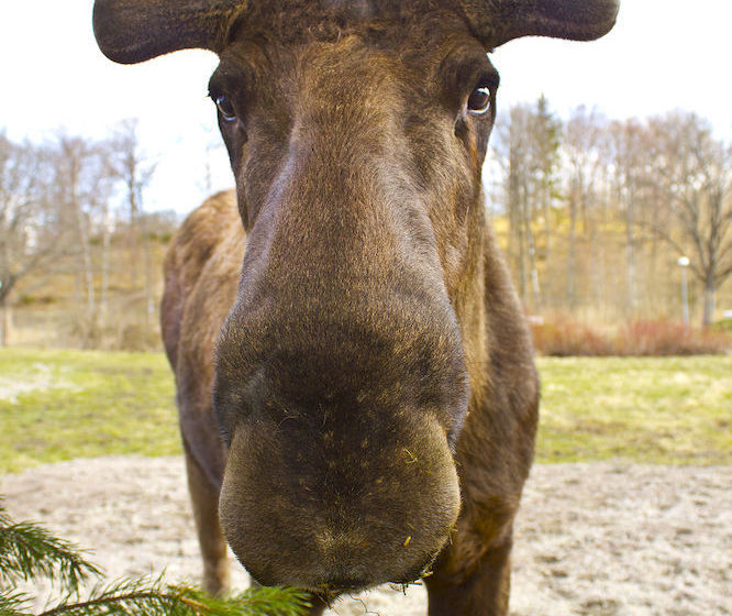 Hostel Öster Malma Slot | Nykoping | Sodermanlands Lan | Sweden 7