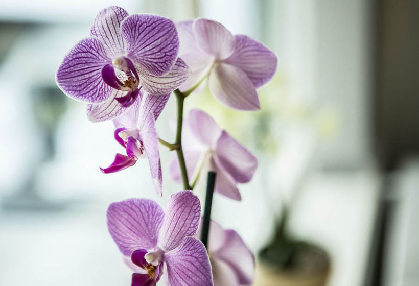 City Housing - Hinna Park 1 Apartments | Stavanger | Rogaland | Norway 11