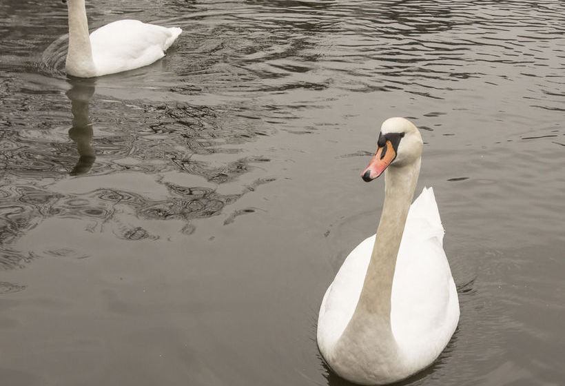 City Housing - Kanikkbakken 6 | Stavanger | Rogaland | Norway 1