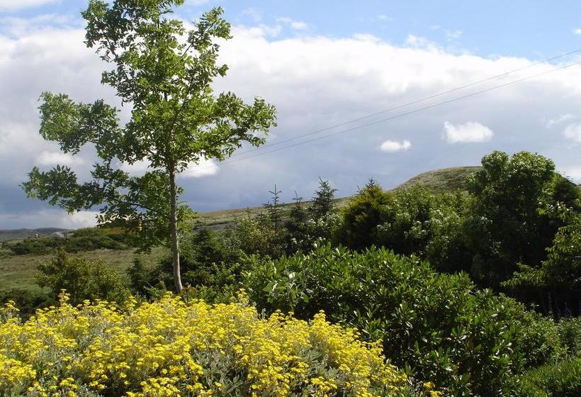 Hotel Ben Breen House | Galway | Galway | Ireland 18