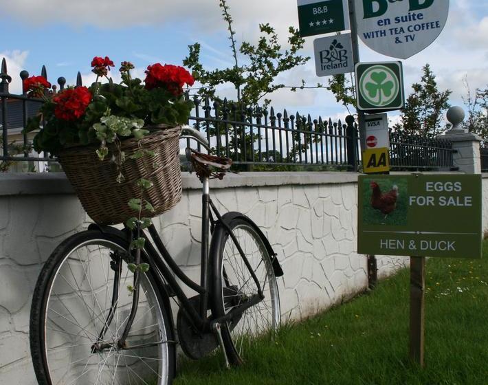 Brandon View House B&b | Graiguenamanagh | Kilkenny | Ireland 13