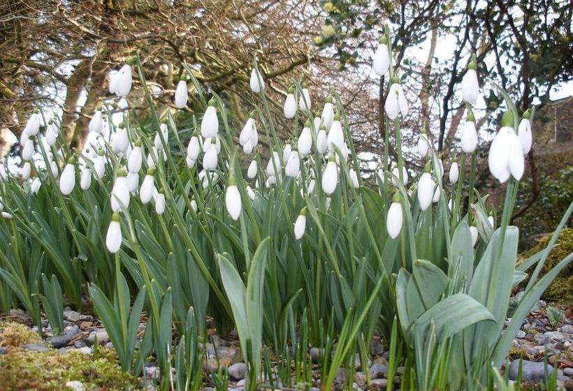 Brandon View House B&b | Graiguenamanagh | Kilkenny | Ireland 14