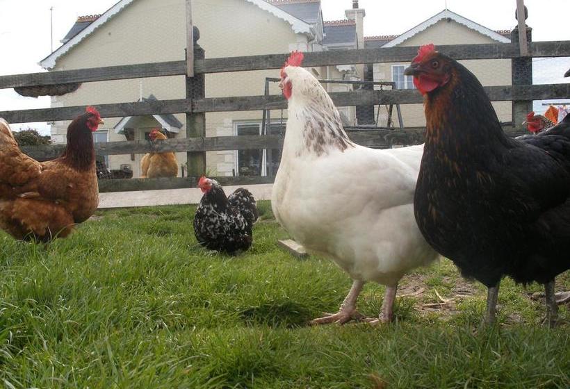 Brandon View House B&b | Graiguenamanagh | Kilkenny | Ireland 16