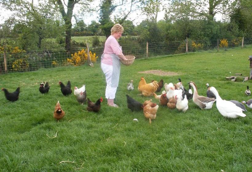 Brandon View House B&b | Graiguenamanagh | Kilkenny | Ireland 18