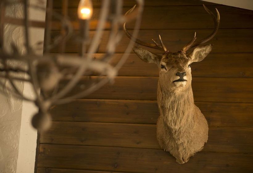 Hotel Best Western Plus Sagafjord | Orsta | More og Romsdal | Norway 4