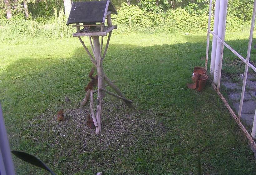 Fredrika Hotell Jakt&Fiskecamp | Fredrika | Vasterbottens Lan | Sweden 8