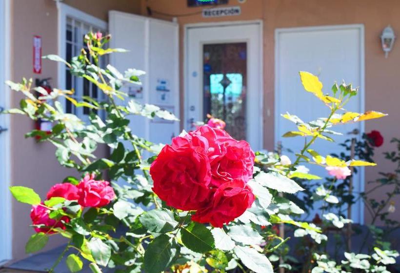 Hotel Hostal Victoria Volcan Chiriqui | Volcán | Chiriquí | Panamá 2