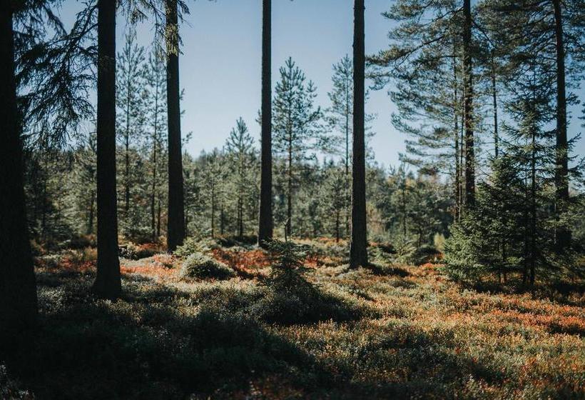 Hotel Mullsjö | Mullsjo | Jonkopings Lan | Sweden 20