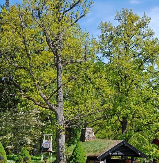 Hotel Ullinge | Eksjo | Jonkopings Lan | Sweden 12