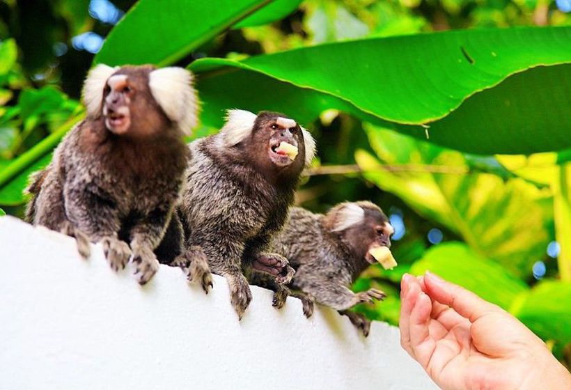 Hotel Pousada Lua Cheia  | Marechal Deodoro | Alagoas | Brasil 1