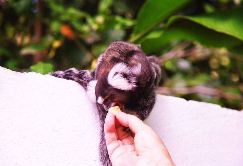 Hotel Pousada Lua Cheia  | Marechal Deodoro | Alagoas | Brasil 10