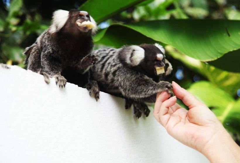 Hotel Pousada Lua Cheia  | Marechal Deodoro | Alagoas | Brasil 2