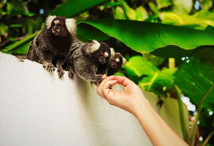 Hotel Pousada Lua Cheia  | Marechal Deodoro | Alagoas | Brasil 3