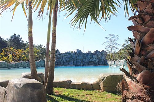 Resort Pousada Magic City  | Suzano | São Paulo | Brasil 5