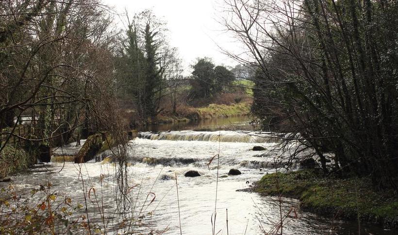 Hotel Twin Trees | Ballina | Mayo | Ireland 8