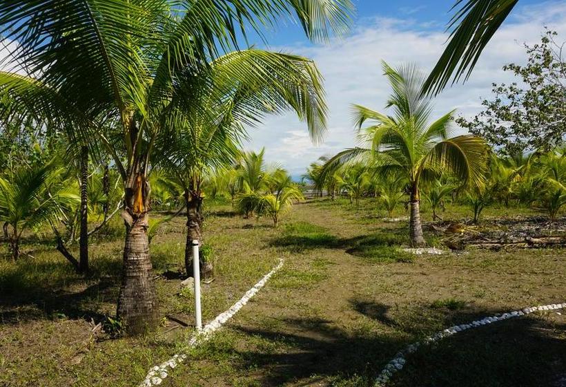 Hotel Hibiscus Garden | Santa Catalina | Veraguas | Panamá 10