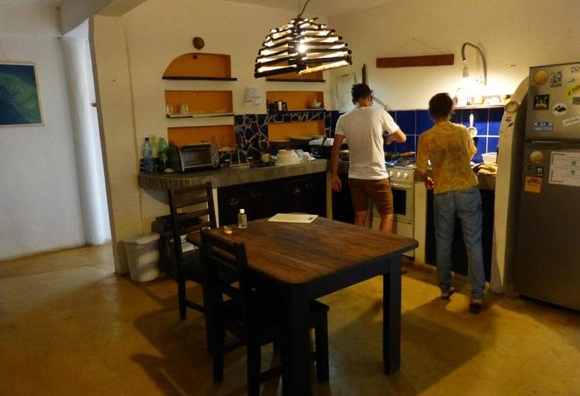 Hotel Hibiscus Garden | Santa Catalina | Veraguas | Panamá 13