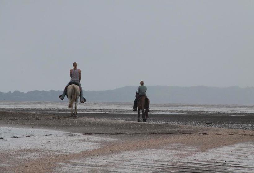 Hotel Hibiscus Garden | Santa Catalina | Veraguas | Panamá 15