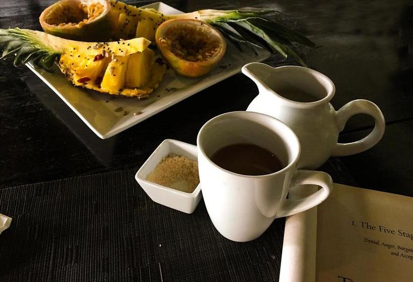 Hotel Hibiscus Garden | Santa Catalina | Veraguas | Panamá 5