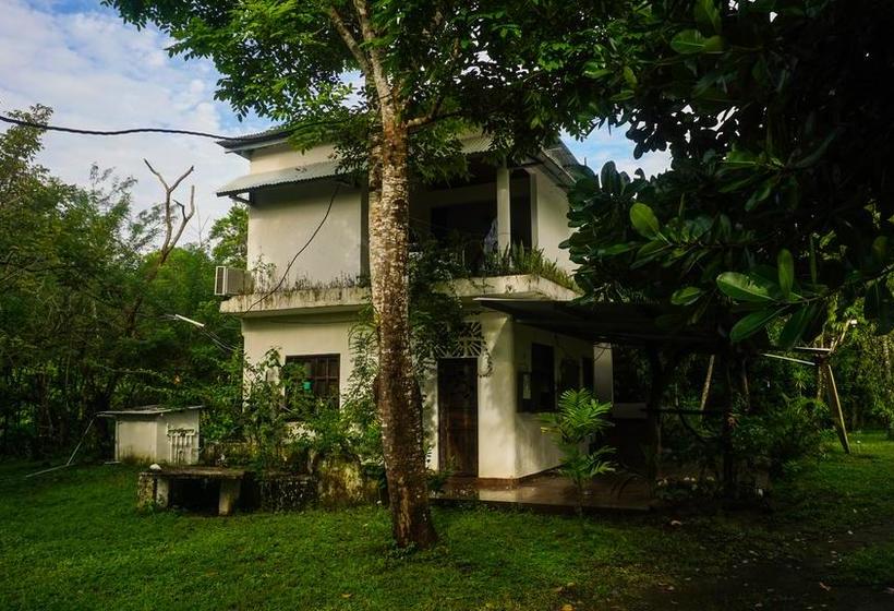 Hotel Hibiscus Garden | Santa Catalina | Veraguas | Panamá 8